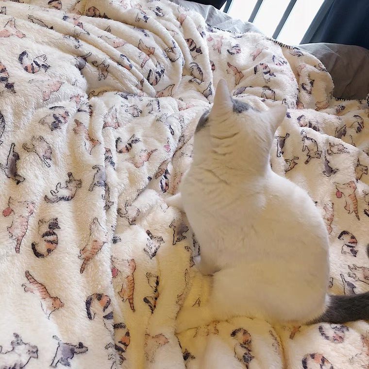 cat pattern fleece soft blanket