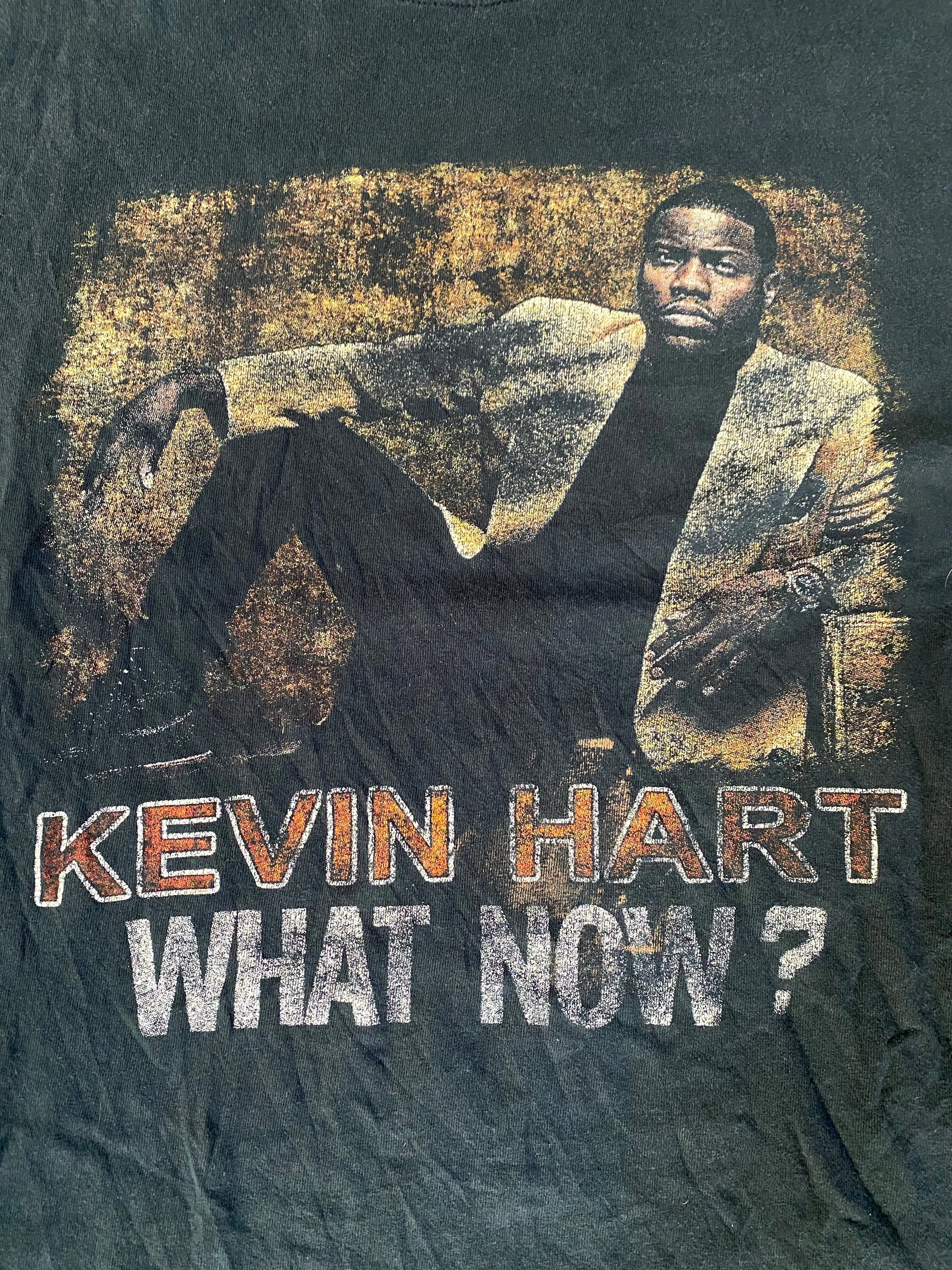 Kevin Hart 2015 “What Now Tour” Vintage Distressed T-shirt