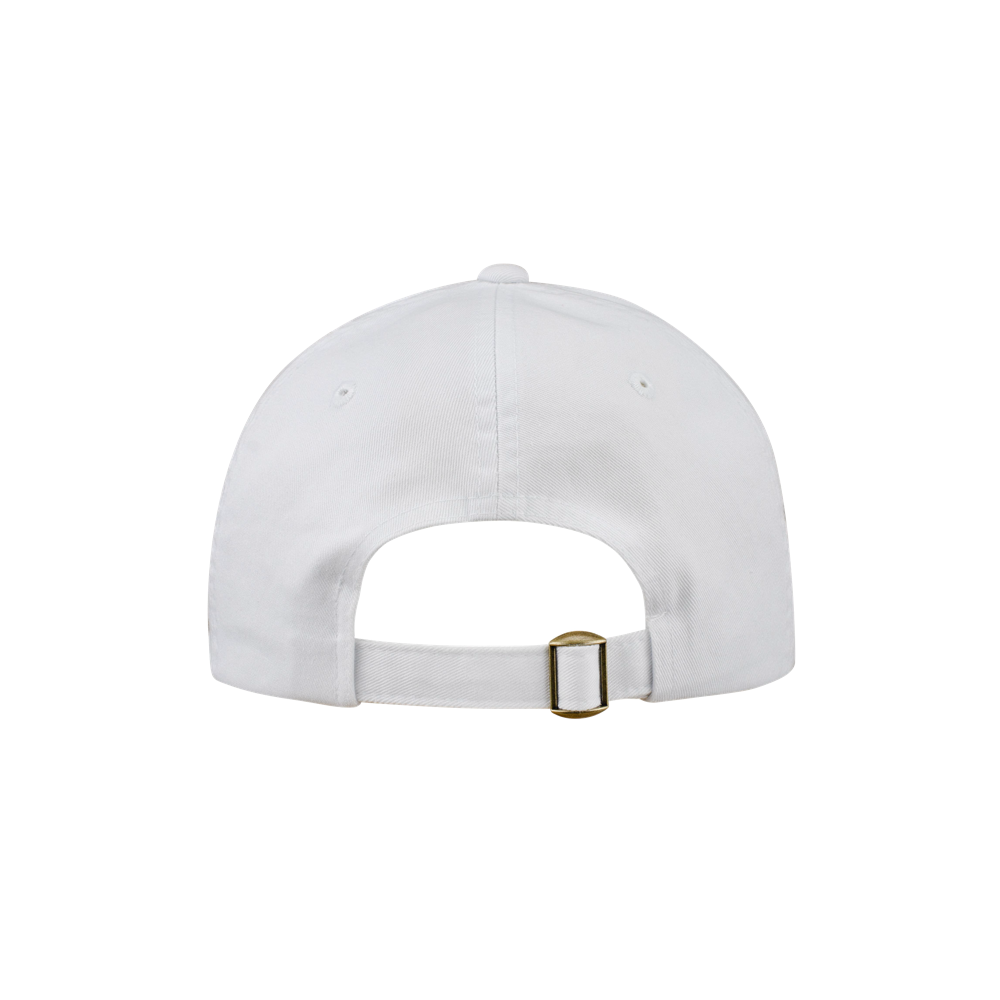 Miami HEAT Logo White Dad Hat